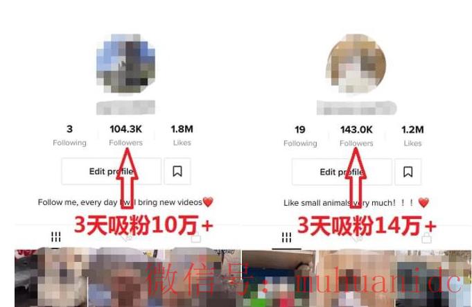 tiktok账号购买平台