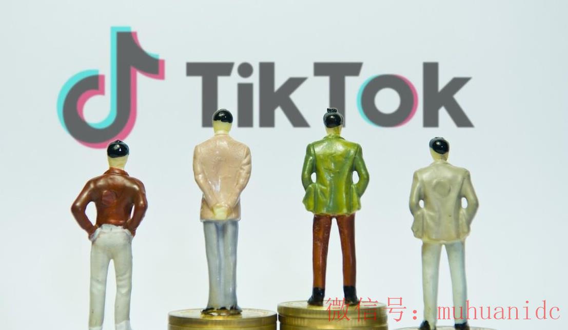 tiktok账号购买平台