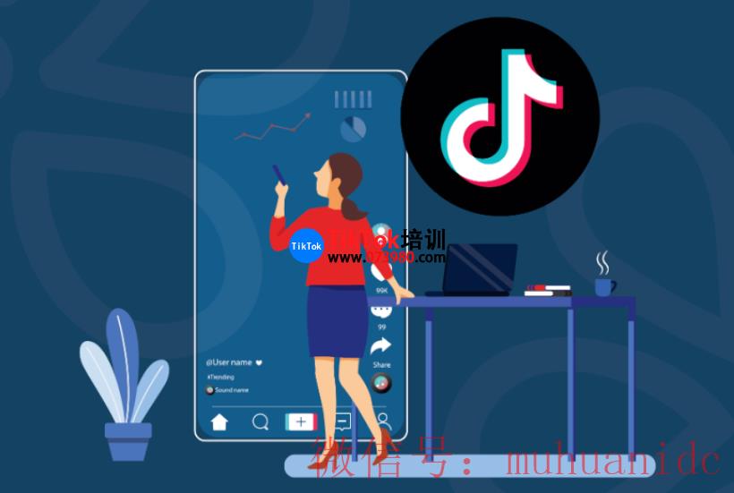 tiktok账号购买平台