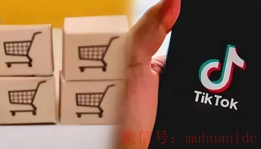 tiktok账号购买平台