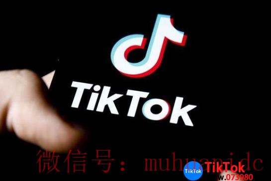 tiktok账号购买平台