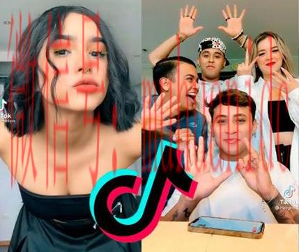 tiktok账号购买平台