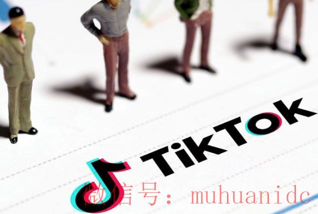 tiktok账号购买平台