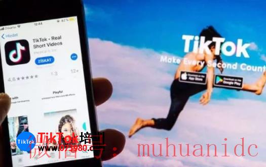 tiktok账号购买平台