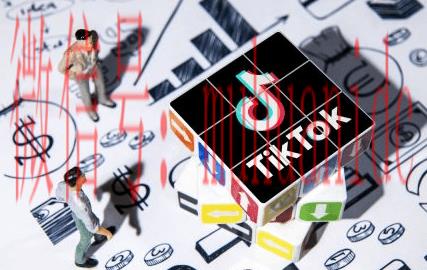 tiktok账号购买平台