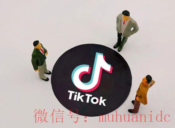tiktok账号购买平台