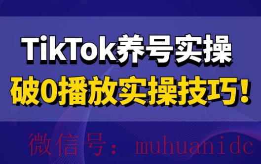 tiktok账号购买平台