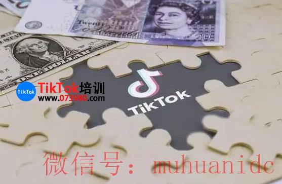 tiktok账号购买平台