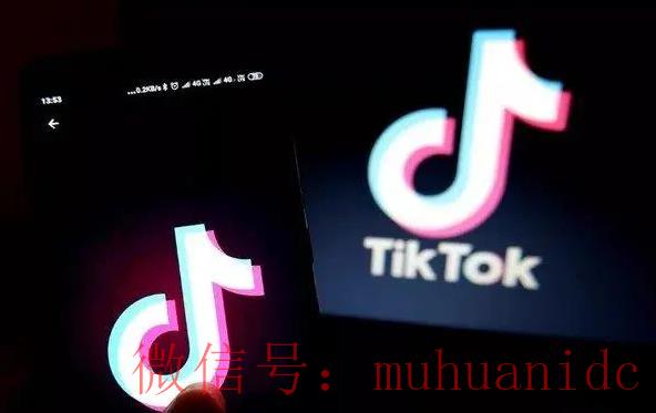 tiktok账号购买平台