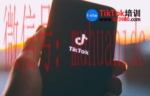 tiktok账号购买平台