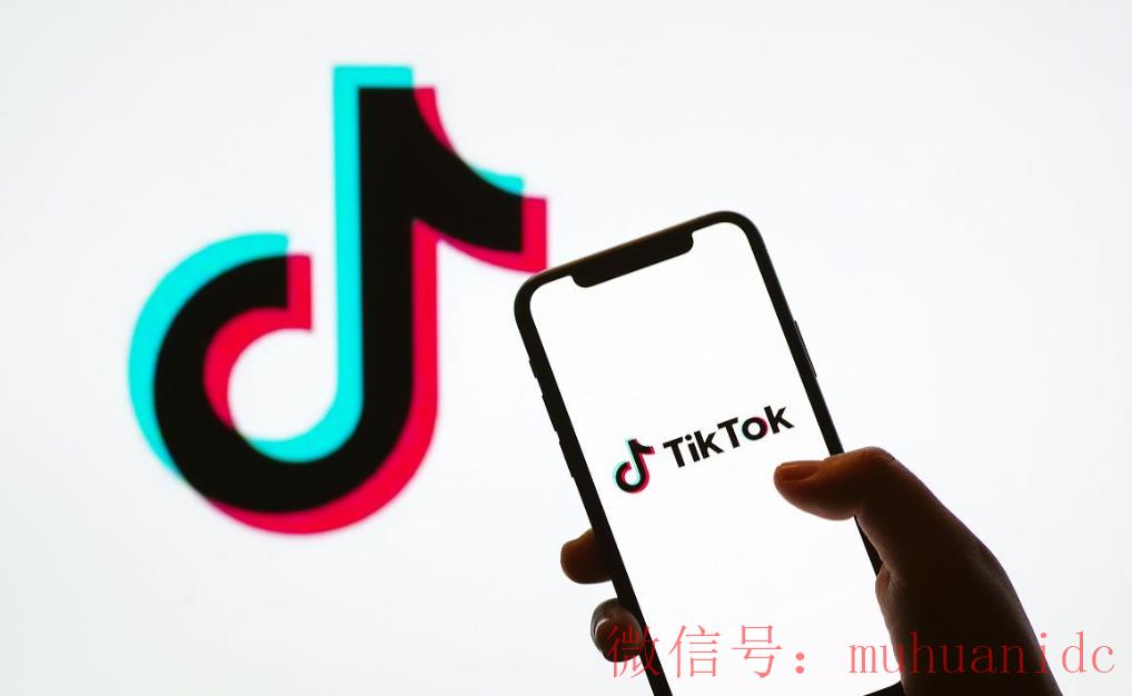 tiktok账号购买平台