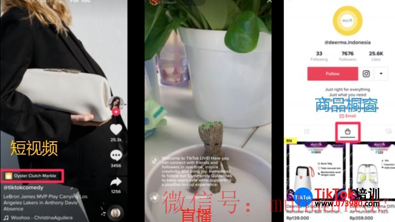 tiktok账号购买平台