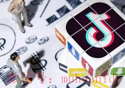 tiktok账号购买平台