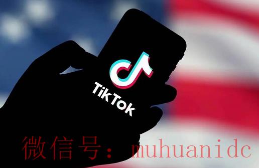 tiktok账号购买平台