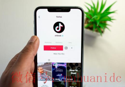 tiktok账号购买平台