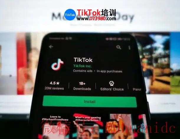 tiktok账号购买平台