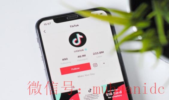 tiktok账号购买平台