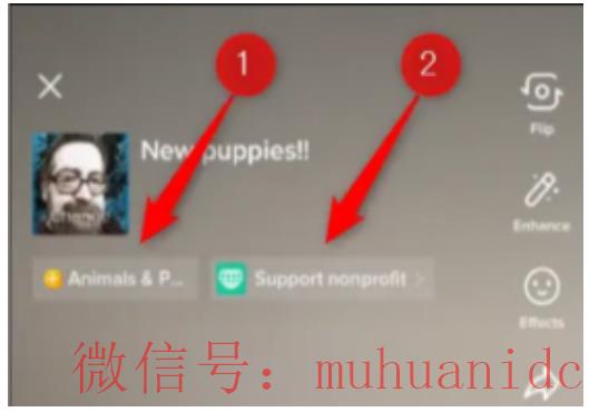 tiktok账号购买平台