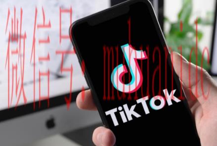 tiktok账号购买平台