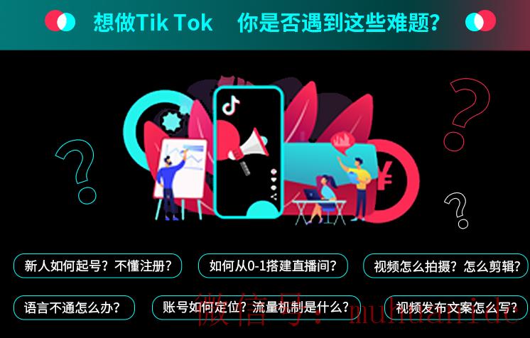 tiktok账号购买平台