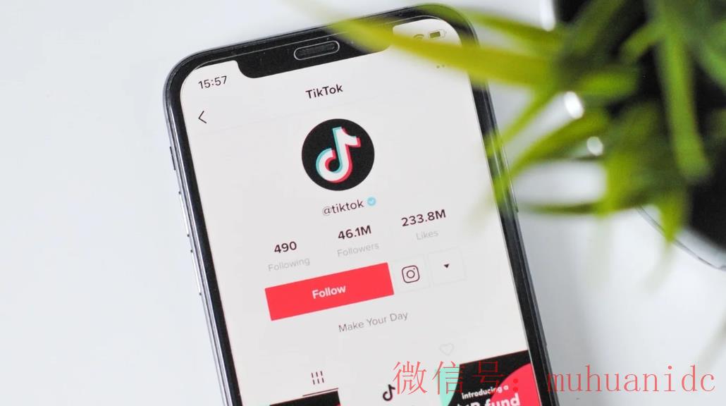 tiktok账号购买平台