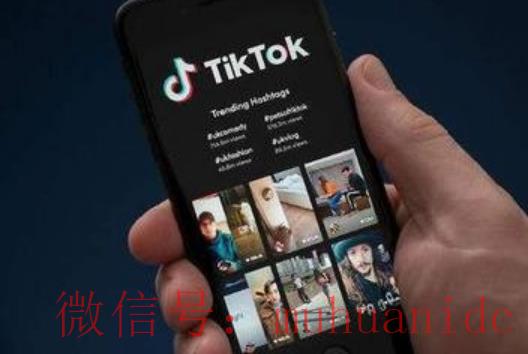 tiktok账号购买平台