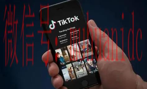 tiktok账号购买平台