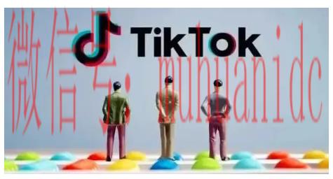 tiktok账号购买平台