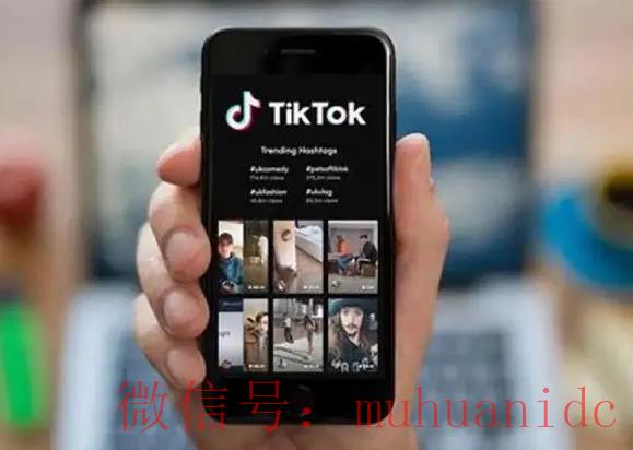 tiktok账号购买平台