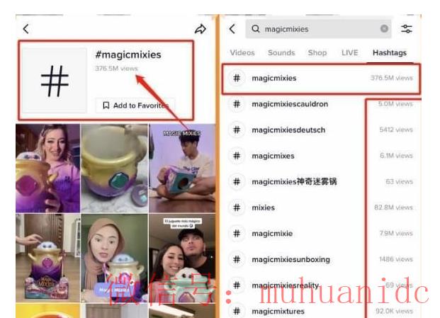 tiktok账号购买平台