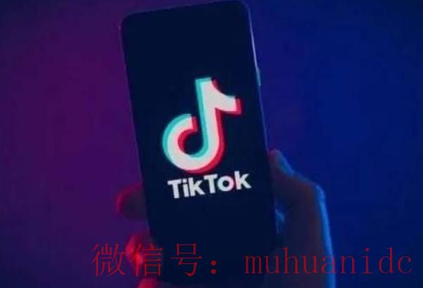 tiktok账号购买平台