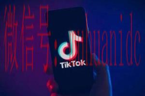 tiktok账号购买平台