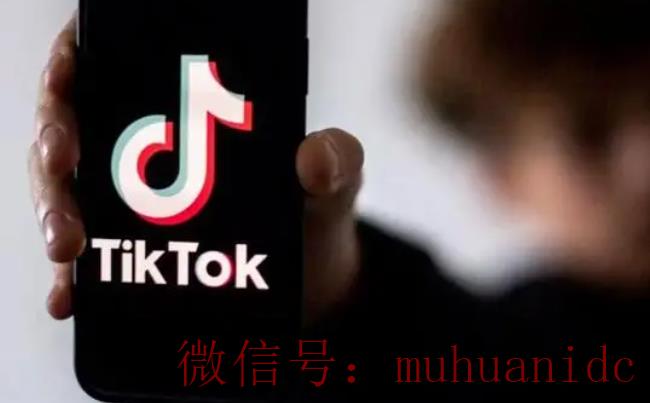 tiktok账号购买平台