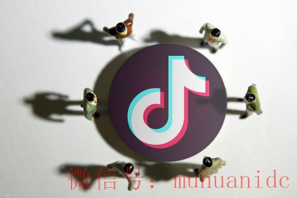 tiktok账号购买平台