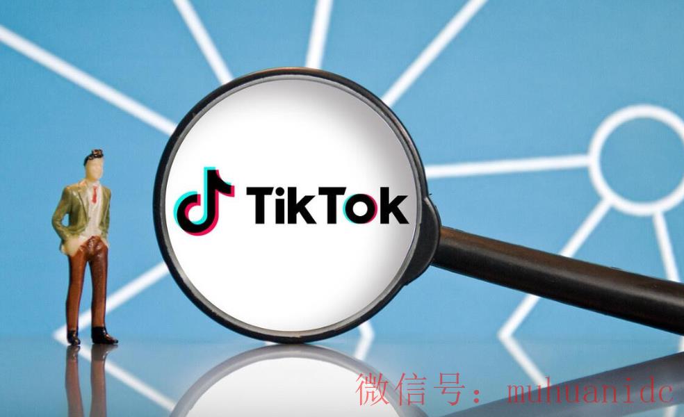 tiktok账号购买平台