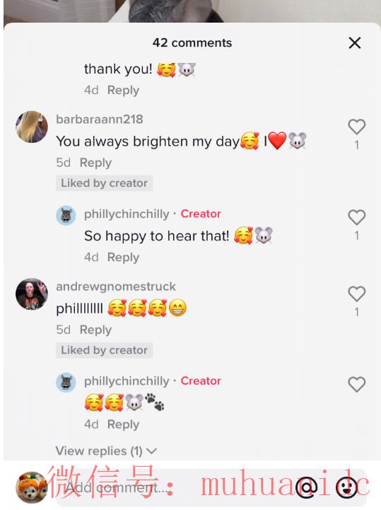 tiktok账号购买平台