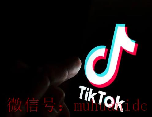 tiktok账号购买平台