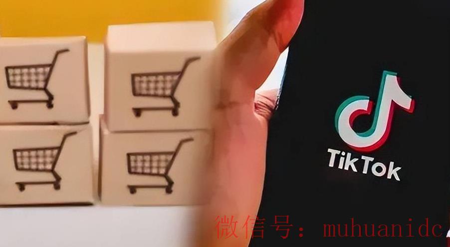 tiktok账号购买平台