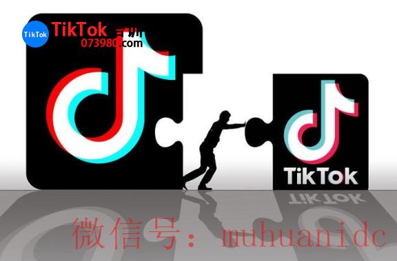 tiktok账号购买平台