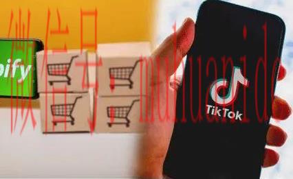 tiktok账号购买平台