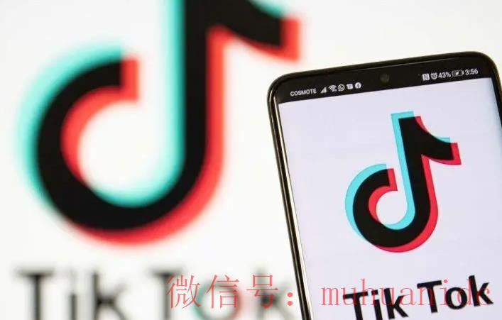 tiktok账号购买平台