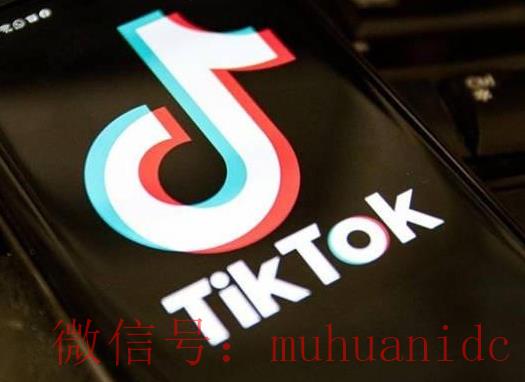 tiktok账号购买平台