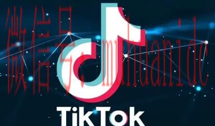 tiktok账号购买平台