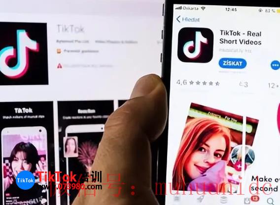 tiktok账号购买平台