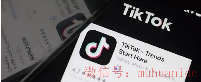 tiktok账号购买平台