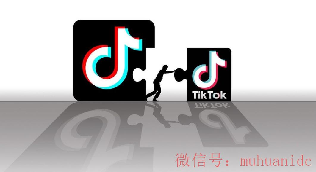 tiktok账号购买平台