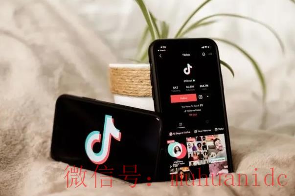 tiktok账号购买平台
