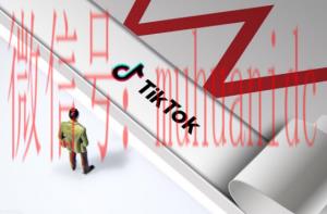 tiktok账号购买平台
