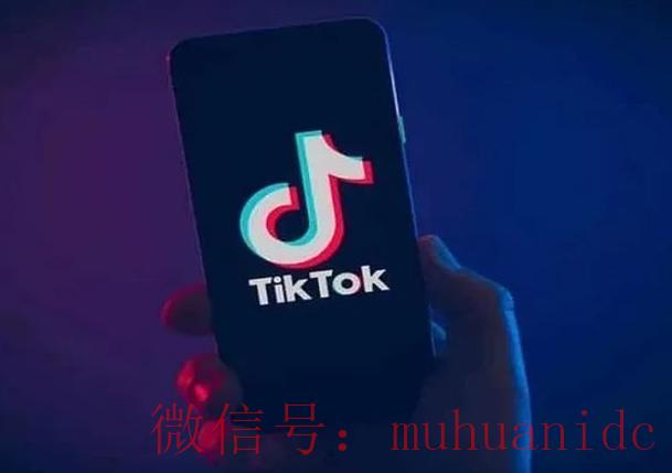 tiktok账号购买平台