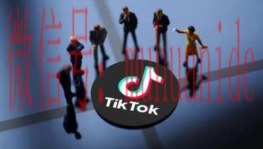 tiktok账号购买平台